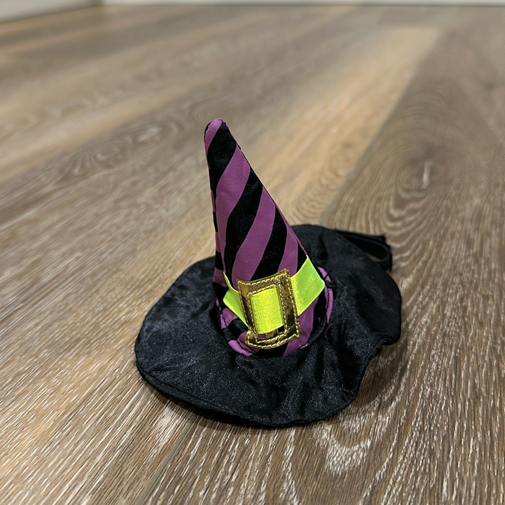 Small pet witch hat